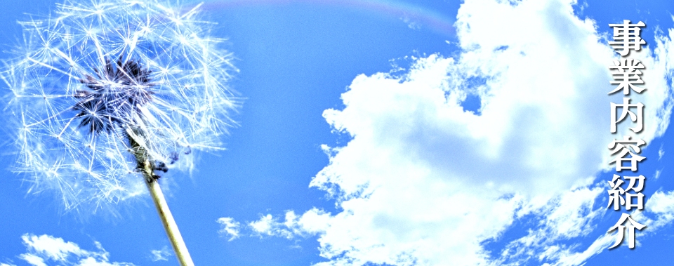事業内容紹介